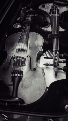 616801677 122267959328197483 1702477541137749223 n