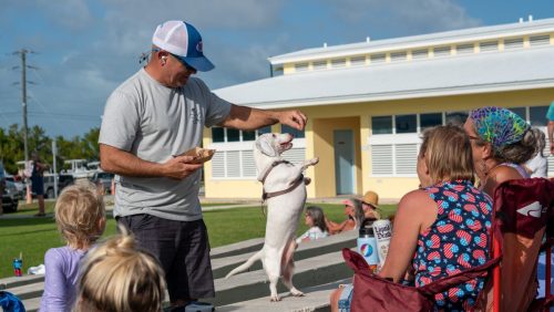 648077203 122275832108197483 5857103681391768322 n