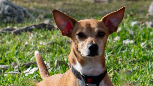 648673232 122275830848197483 1866654960777468363 n