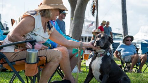 648750456 122275832186197483 7171008573737786369 n