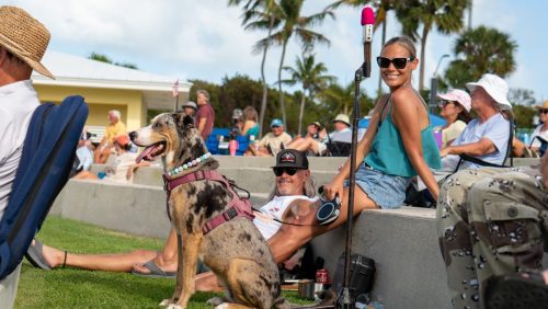 648806272 122275832876197483 1213423118504041824 n